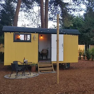 https://forest-heath-shepherds-hut.tophotelsbath.com